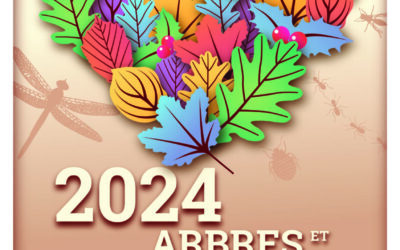 Semaine de l’arbre 2024 : le programme à Andenne