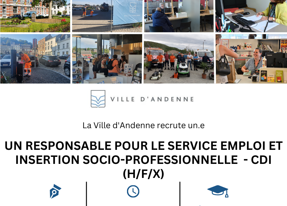 Emploi: Responsable de service emploi et insertion-professionnelle (H/F/X)